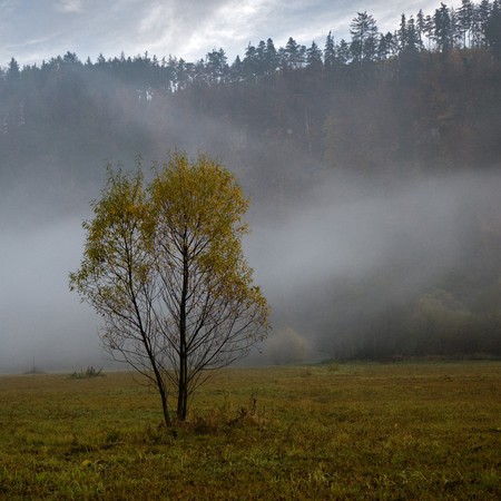 04_V krajině 15